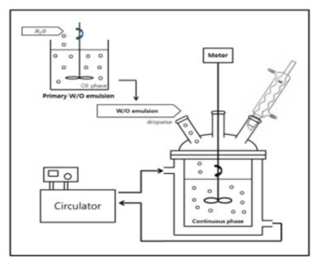 /O/W emulsion-templated 현탁 중합 모식도