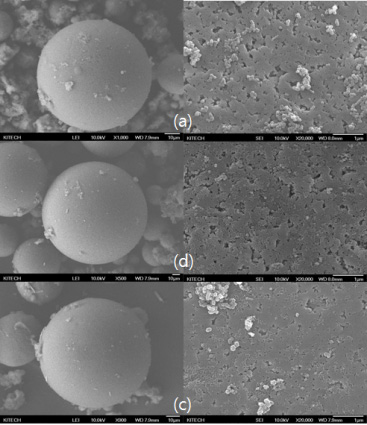 FE-SEM을 통한 poly(VBC-DVB) : (a) W48 ; (b) W24 ; (c) W12 입자 morphology 분석 사진