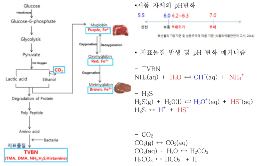 육류의 품질변화 메커니즘