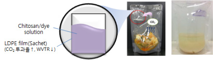 키토산을 이용한 김치 숙성도 인디케이터(구조)