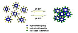 pH민감성 단랸체의 작동원리