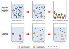 Brillant blue dye를 함유한 키토산 인 디케이터 제조법 및 발색 메커니즘