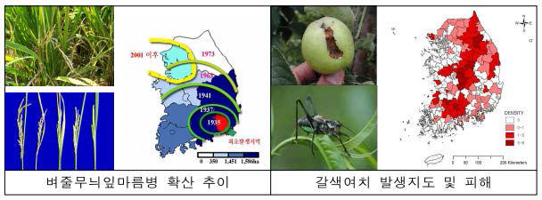 병해충 확산 및 피해