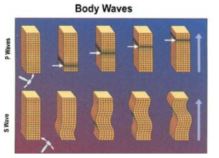 탄성파의 종류(P파, S파)