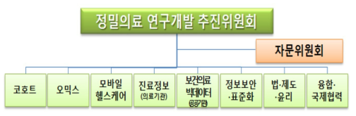 정밀의료 연구개발 추진체계(안)