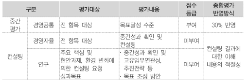 중간컨설팅평가 실시내용