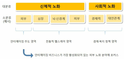 신체적 노화 중 피부노화 위주로 성장하는 안티에이징 산업