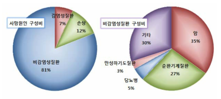 만성질환의 심각성