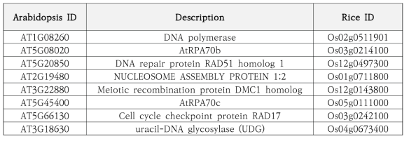 감마선이 조사된 애기장대와 벼에서 공통적으로 발현이 변화되는 DNA 회복/방어 유전자