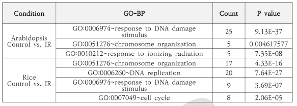감마선이 조사된 애기장대와 벼에서 특이적으로 발현이 변화되는 회복/방어 유전자. BP, biological process; Count, 해당되는 GO term을 가진 유전자 수