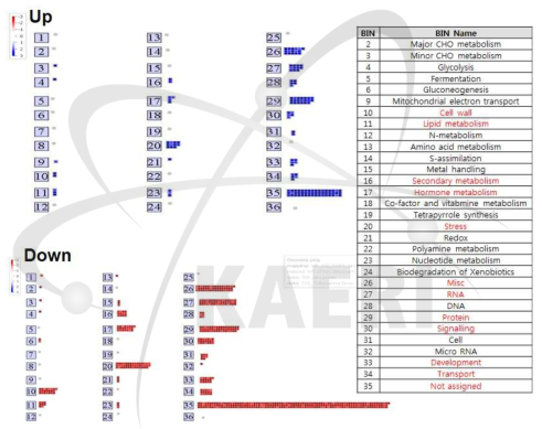 TSA+감마선이 처리된 애기장대에서 변화된 유전자군(TSA 대비)