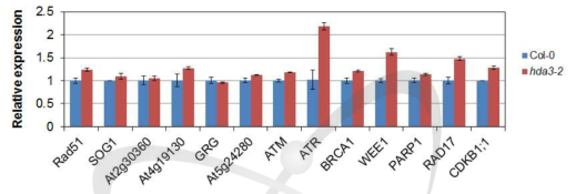 WT과 hda3 돌연변이체에서 감마선 반응 유전자들의 발현 분석