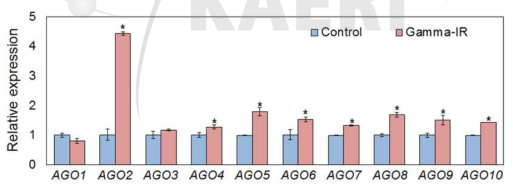 감마선에 조사에 따른 AGO 유전자들의 발현 변화 비교