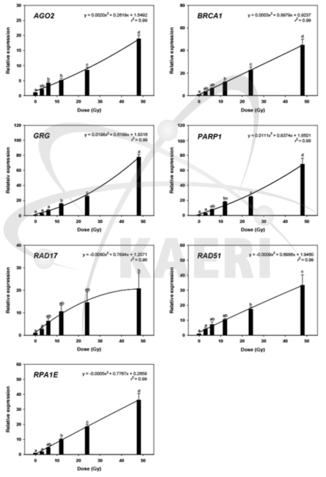 저선량 감마선 조사 직후 DNA 손상 반응 유전자 발현의 선량의존성