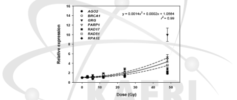 저선량 감마선 조사 24시간 후 DNA 손상 반응 유전자 발현의 평균적인 선량-반응 유형
