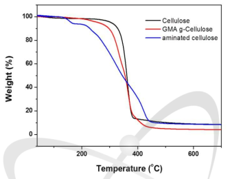 아민화한 셀룰로오스의 TGA 열적 특성 변화.