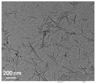 산가수분해로 제조된 나노셀룰로오스의 TEM 이미지.