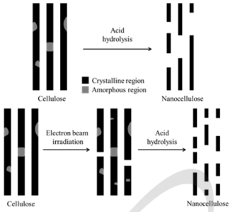 전자선 조사를 통한 나노셀룰로오스 제조과정 메커니즘.