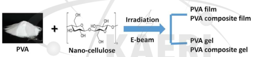 전자선을 이용한 PVA복합재 제조 과정.
