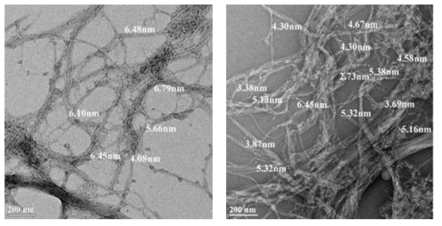 Effect of electron beam irradiation on the shape of microfibrillated cellulose made from Sw-BKP.