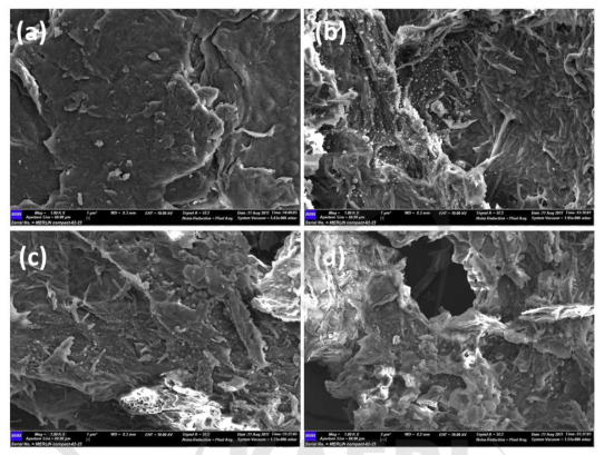 전자선 조사량 (a) 0, (b) 10, (c) 20, (d) 30 kGy 에 따른 표면 모폴로지 변화