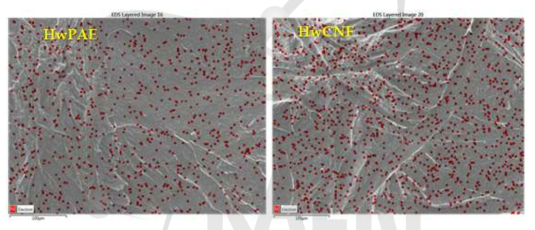 EDS images of CNF filters made from HwCNF without pretreatments (HwFcon) after filtration experiments.