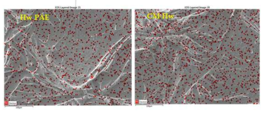 EDS images of CNF filters made from HwF-cm(x) after filtration experiments.