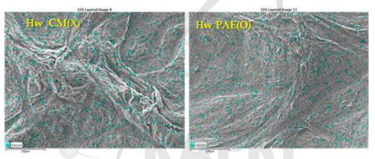 EDS images of CNF filters made from HwF-cm(O)-2 after filtration experiments.