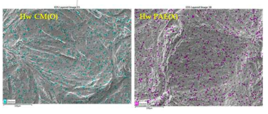 EDS images of CNF filters made from HwF-cm(O)-3 after filtration experiments.