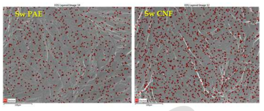 EDS images of CNF filters made from Sw-CNF without pretreatments (SwF-con) after filtration experiments.