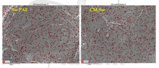 EDS images of CNF filters made from SwF-cm(x) after filtration experiments.