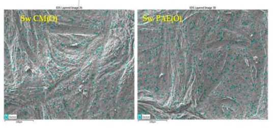 EDS images of CNF filters made from SwF-cm(O)-1 after filtration experiments.