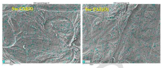 EDS images of CNF filters made from SwF-cm(O)-2 after filtration experiments.