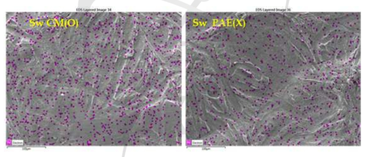 EDS images of CNF filters made from SwF-cm(O)-3 after filtration experiments.