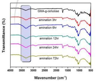 아민화 시간에 따른 GMA-g-셀룰로오스의 구조분석.