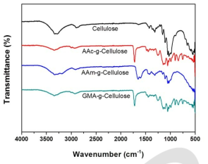 그라프팅된 셀룰로오스의 FT-IR 구조 분석.