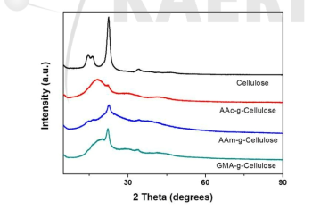 그라프팅된 셀룰로오스의 XRD 결정구조 분석.