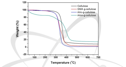 그라프팅된 셀룰로오스의 TGA 열적 특성 분석.