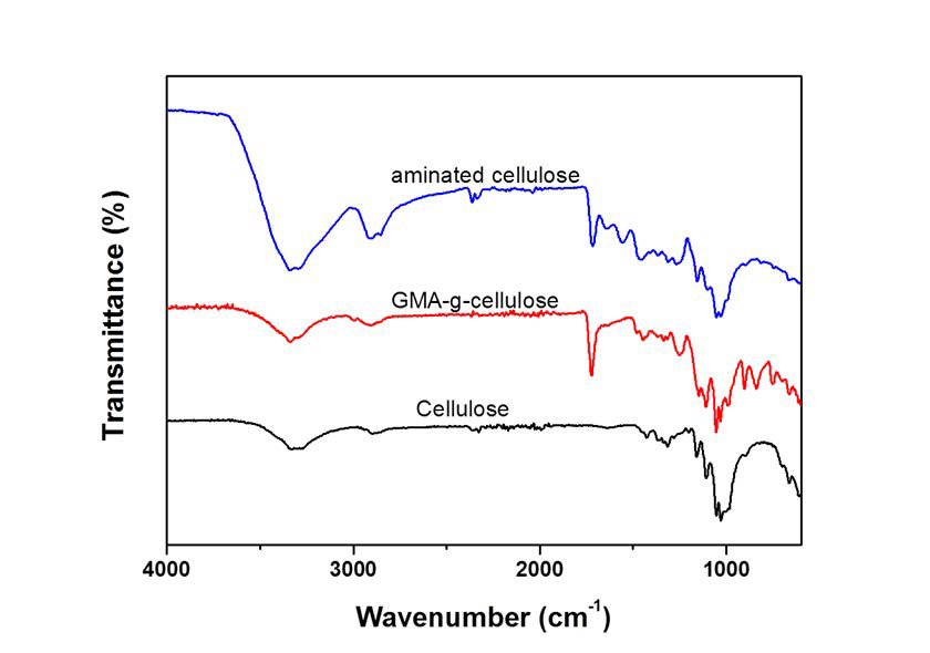 아민화한 셀룰로오스의 FT-IR 구조분석.
