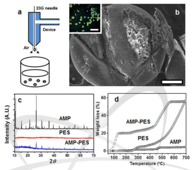 (a) Synthesis of AMP-PES composites, (b) SEM image of cracked AMP-PES, inset: optical microscope image of the composite, (c) XRD specta and (d) TGA analyses of AMP, PES, and AMP-PES composite.