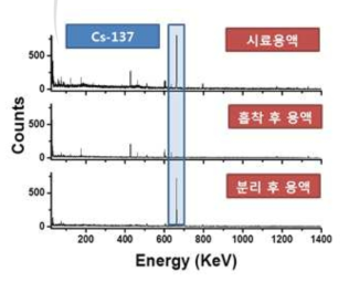 복합체의 Cs 분리능 시험