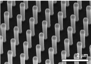 실리콘 수직 나노선 어레이