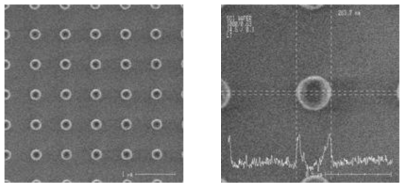 나노선 형성을 위한 나노닷 패턴 및 확대 SEM 이미지