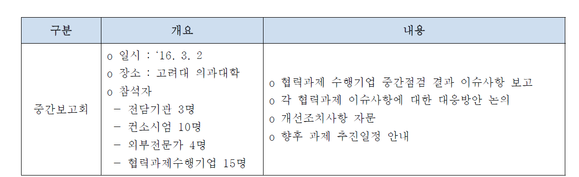 중간보고회 추진 내용