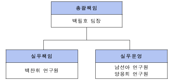 IPA추진체계