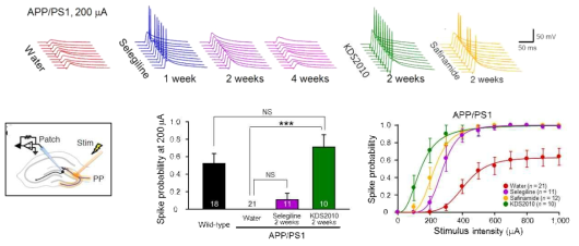 APP/PS1 마우스에서 KDS2010의 spike probability 회복 효능