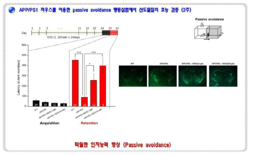 KDS2010에 대한 passive avoidance test 결과