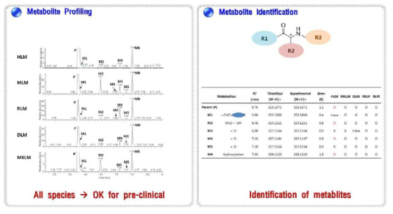 KDS2010에 대한 metabolite profiling & metabolite identification 결과