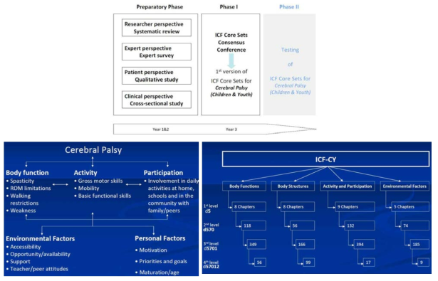 소아 및 청소년 뇌성마비용 ICF Core Set 개발 과정