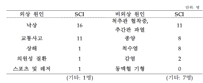 척수손상 환자의 외상 및 비외상 원인